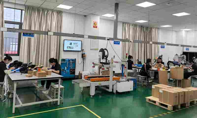 Laser marking, visual inspection and finished product packaging